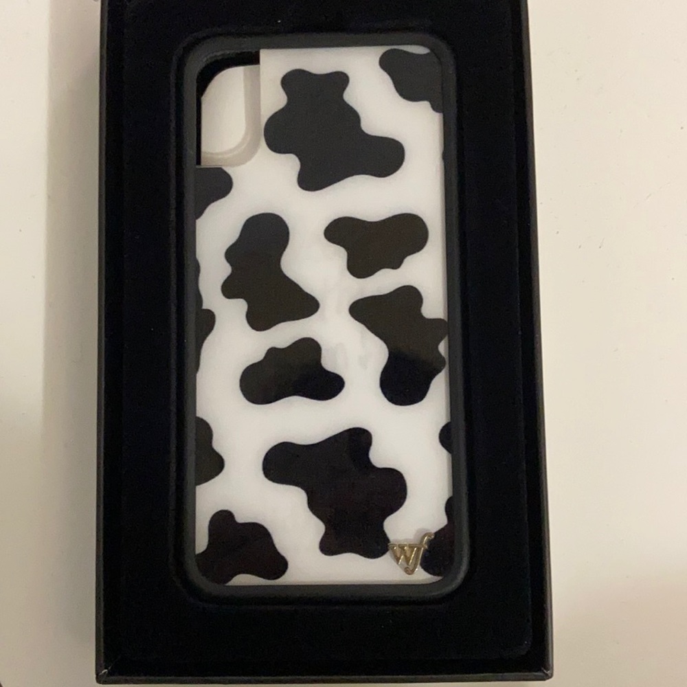 iPhone XS/X